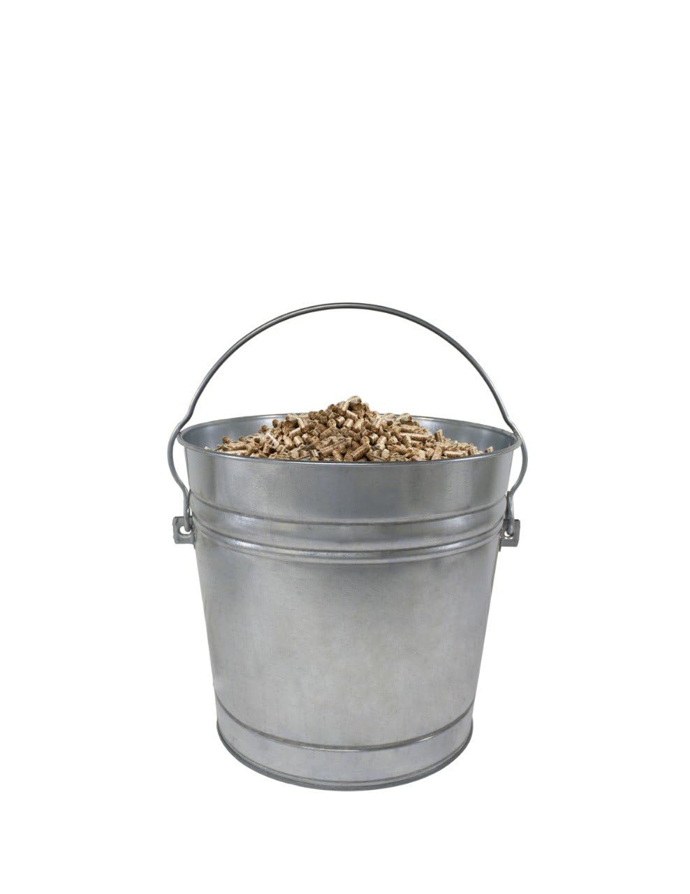10-Gallon Galvanized Steel Trash Can with Locking Lid F4436