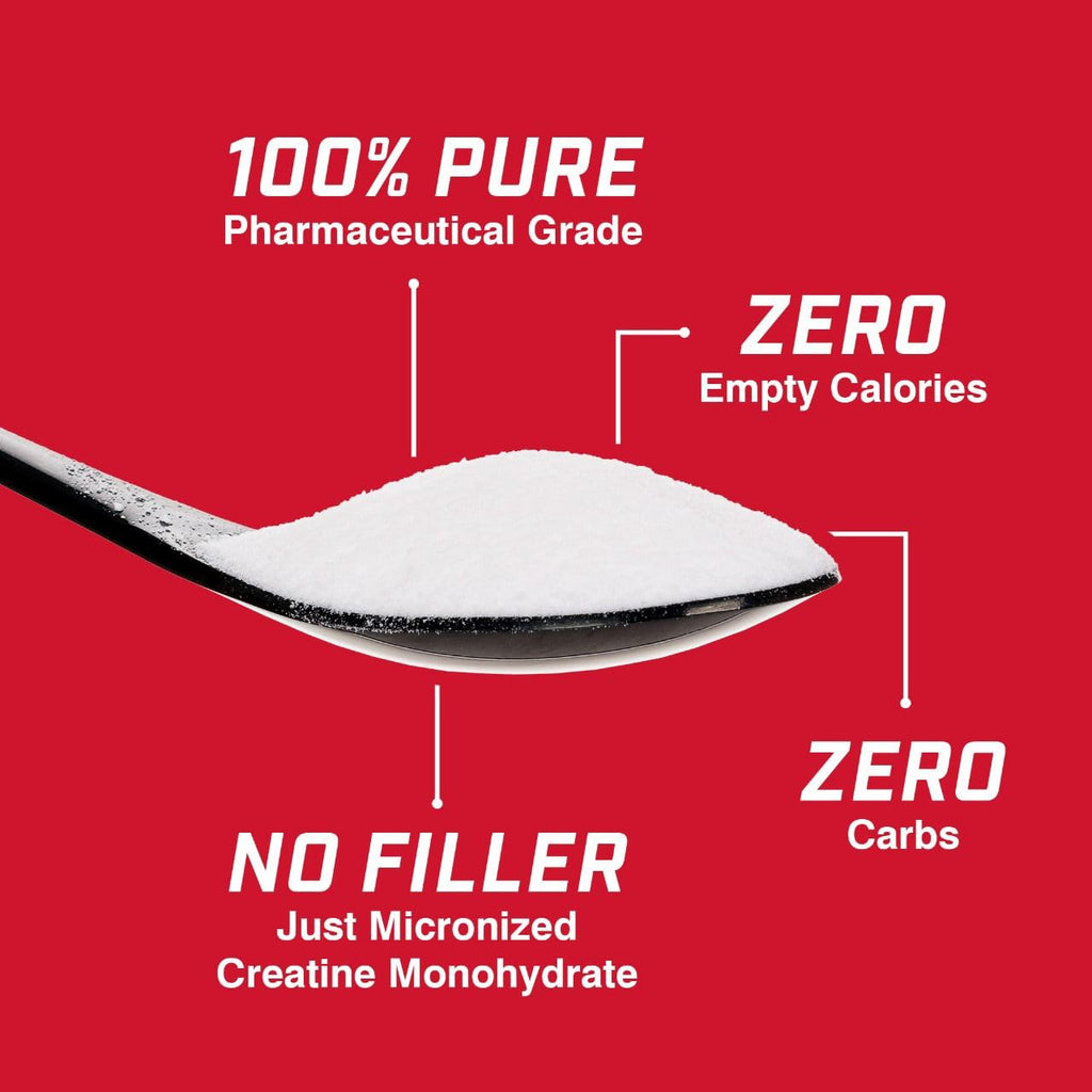 Creatine Monohydrate Powder 5g 300g 60 Servings L58658