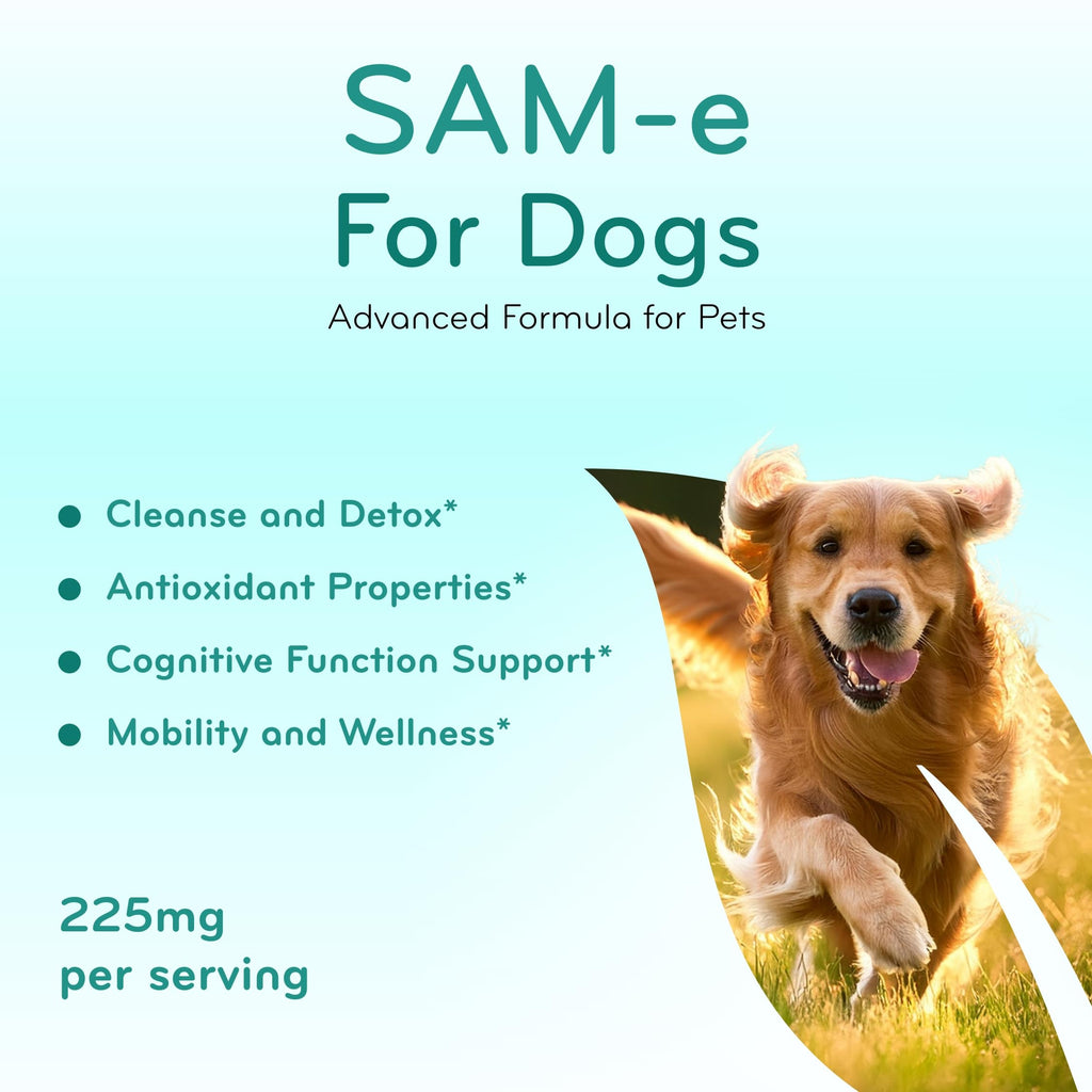 Chewable SAM-e Liver Support Supplement for Dogs 225mg G978389