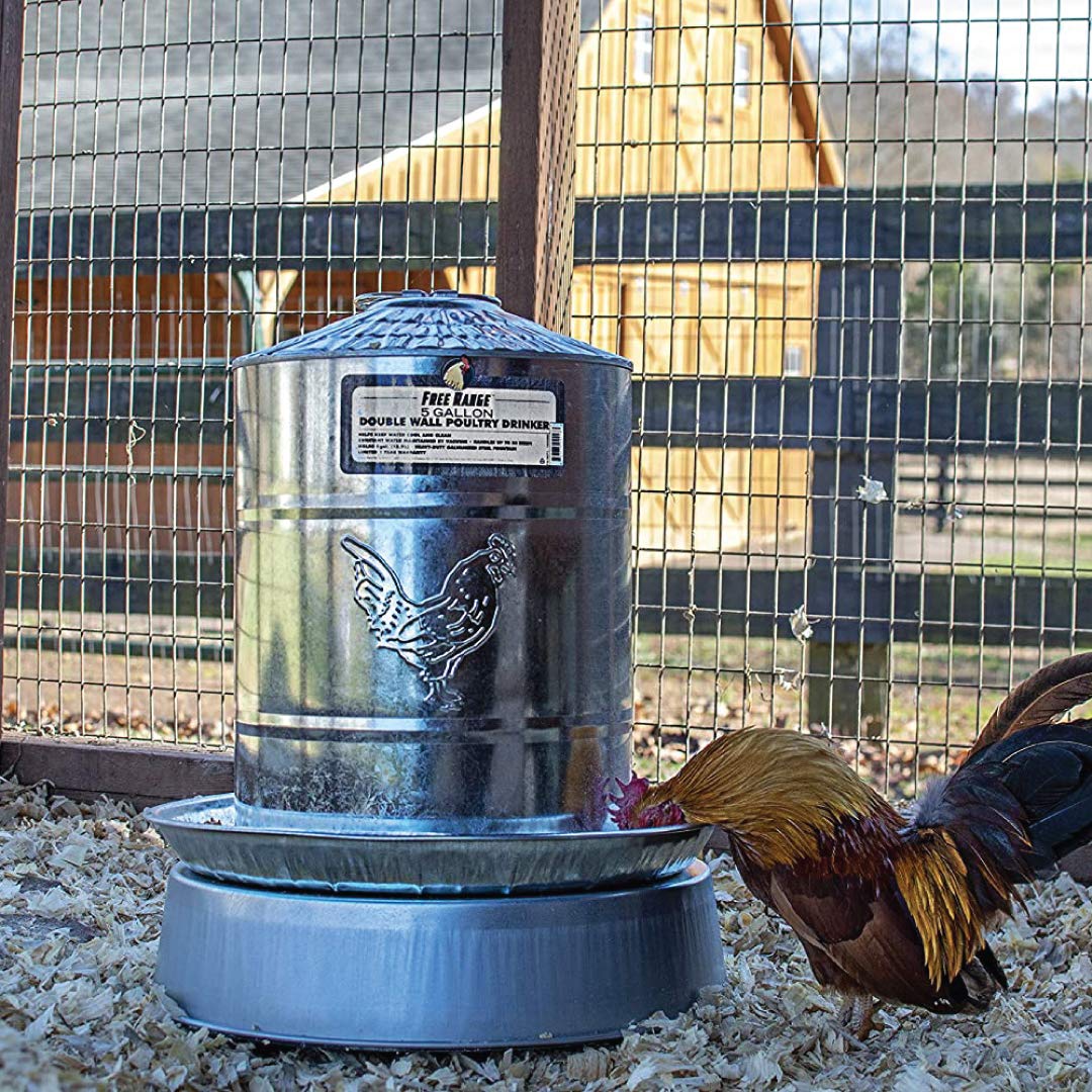 5 Gallons Double Wall Poultry Drinker M77311