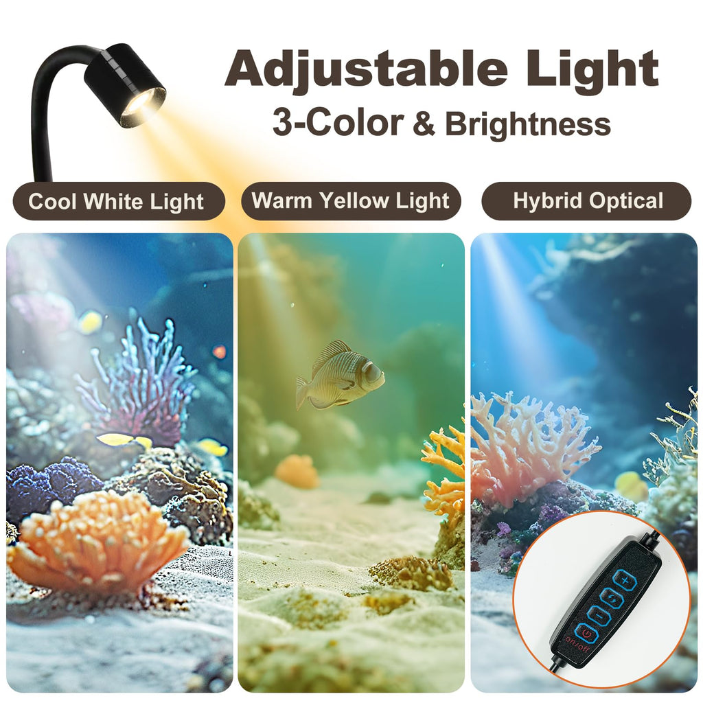 1.2 Gallon Rimless Glass Aquarium Tank Kit with Filter O32663