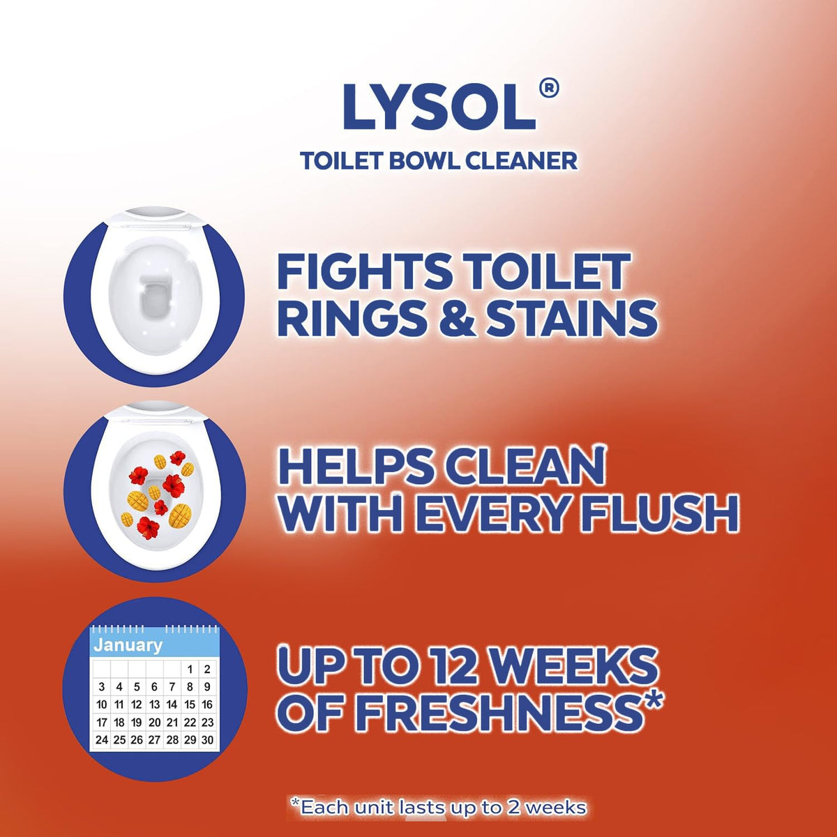 Mango Gel Toilet Bowl Cleaner 6 Count L29777