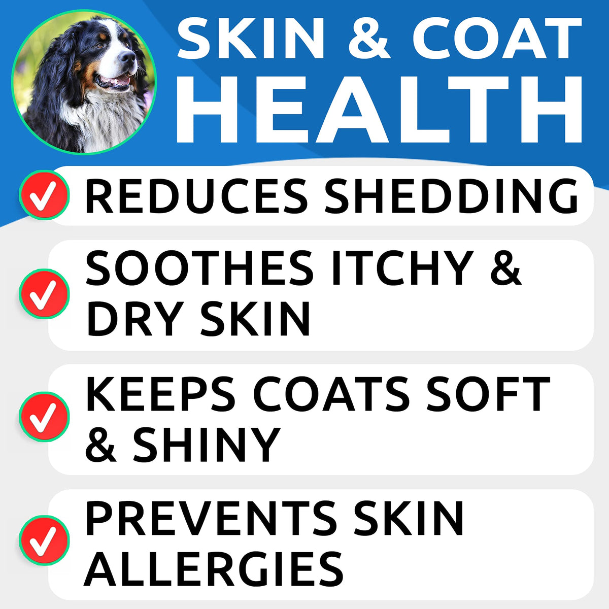Omega 3 Fish Oil Dog Treats Bundle T9941