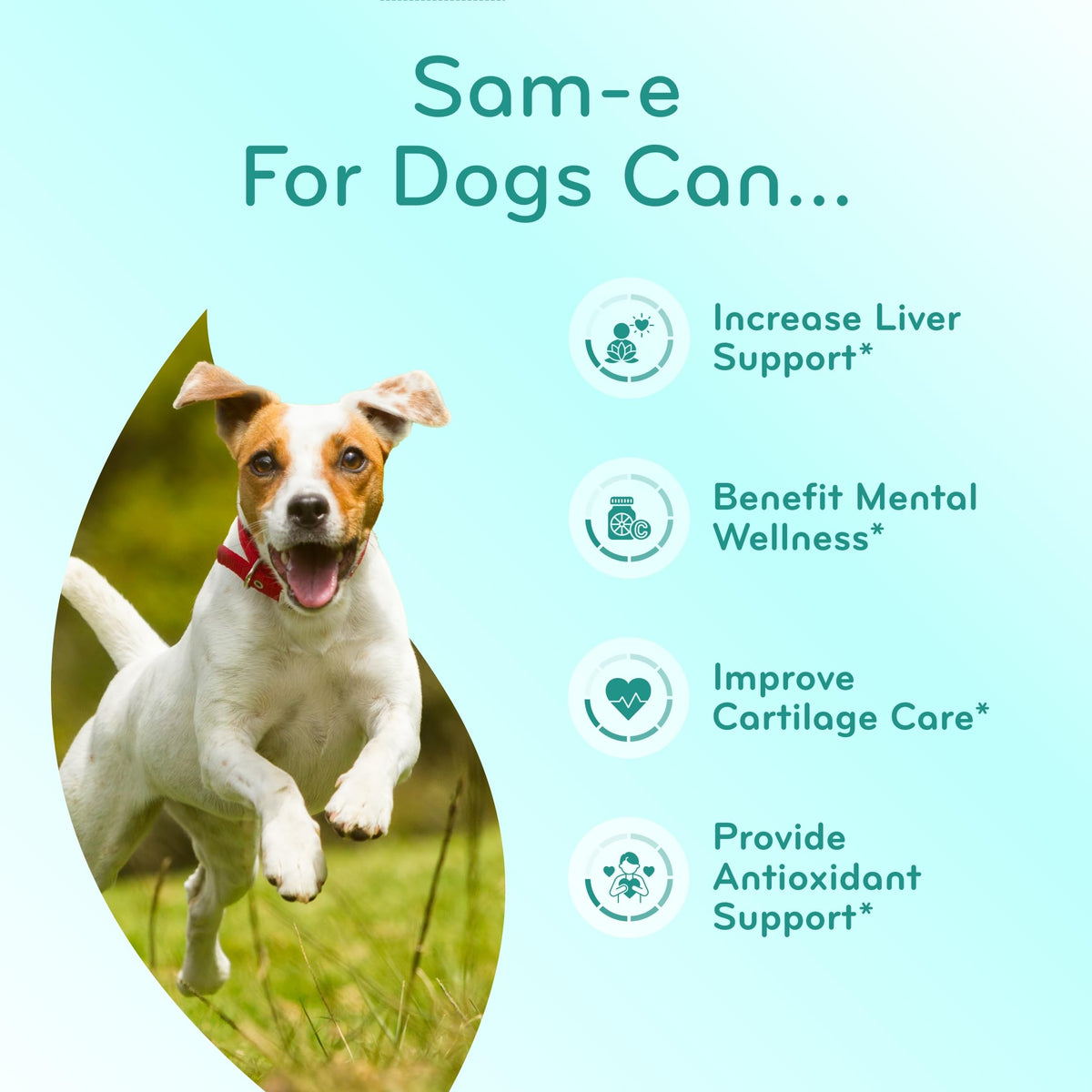 Chewable SAM-e Liver Support Supplement for Dogs 225mg G978389