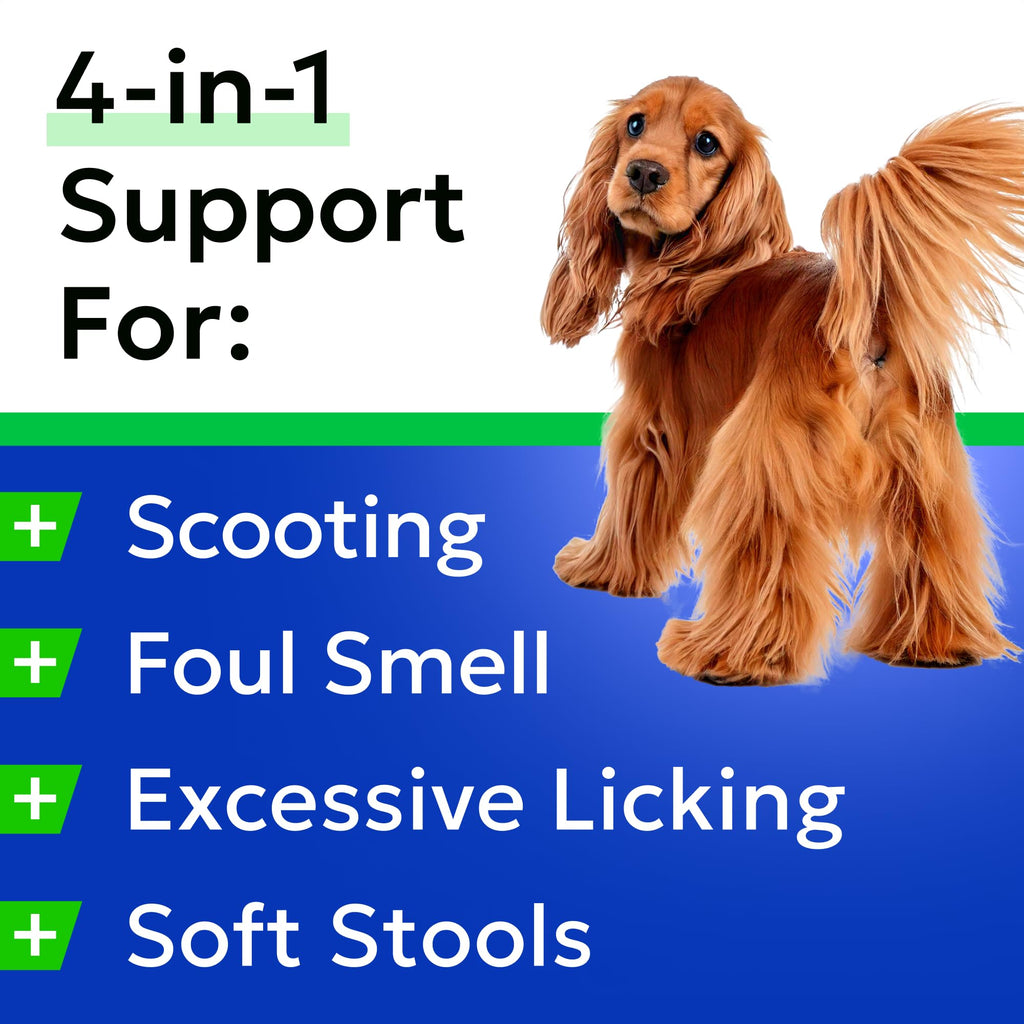 Omega 3 Fish Oil Dog Treats Bundle T9941
