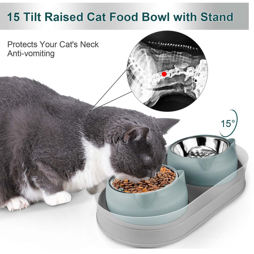 Tilted Stainless Steel Cat Food and Water Bowl Set O1165