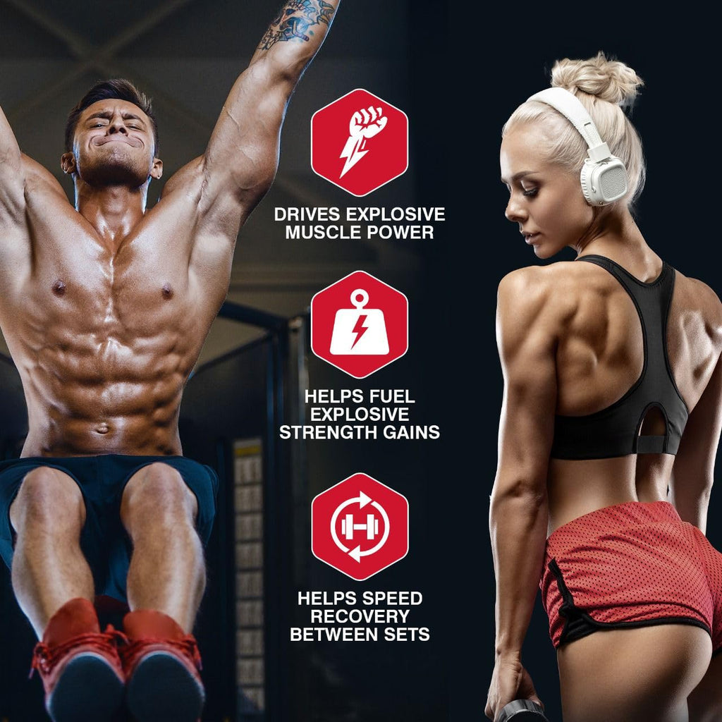 Creatine Monohydrate Powder 5g 300g 60 Servings L58658