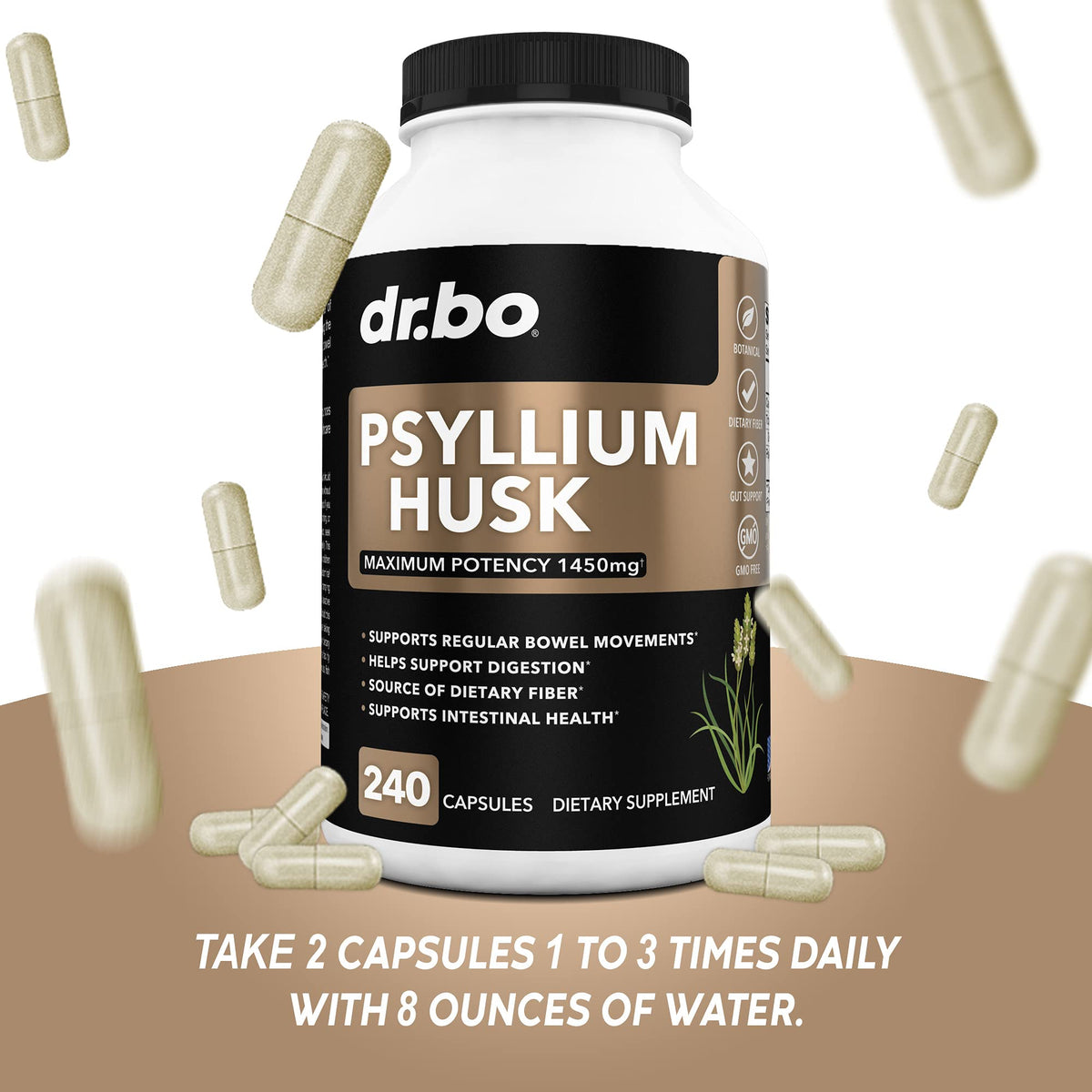 Psyllium Husk Capsule Fiber Supplement E863