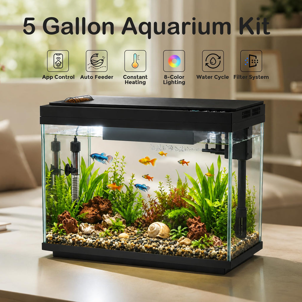 5 Gallon Aquarium Kit Ultra-White Glass P9980