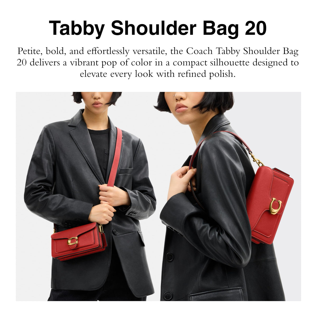 Shoulder Bag T87021