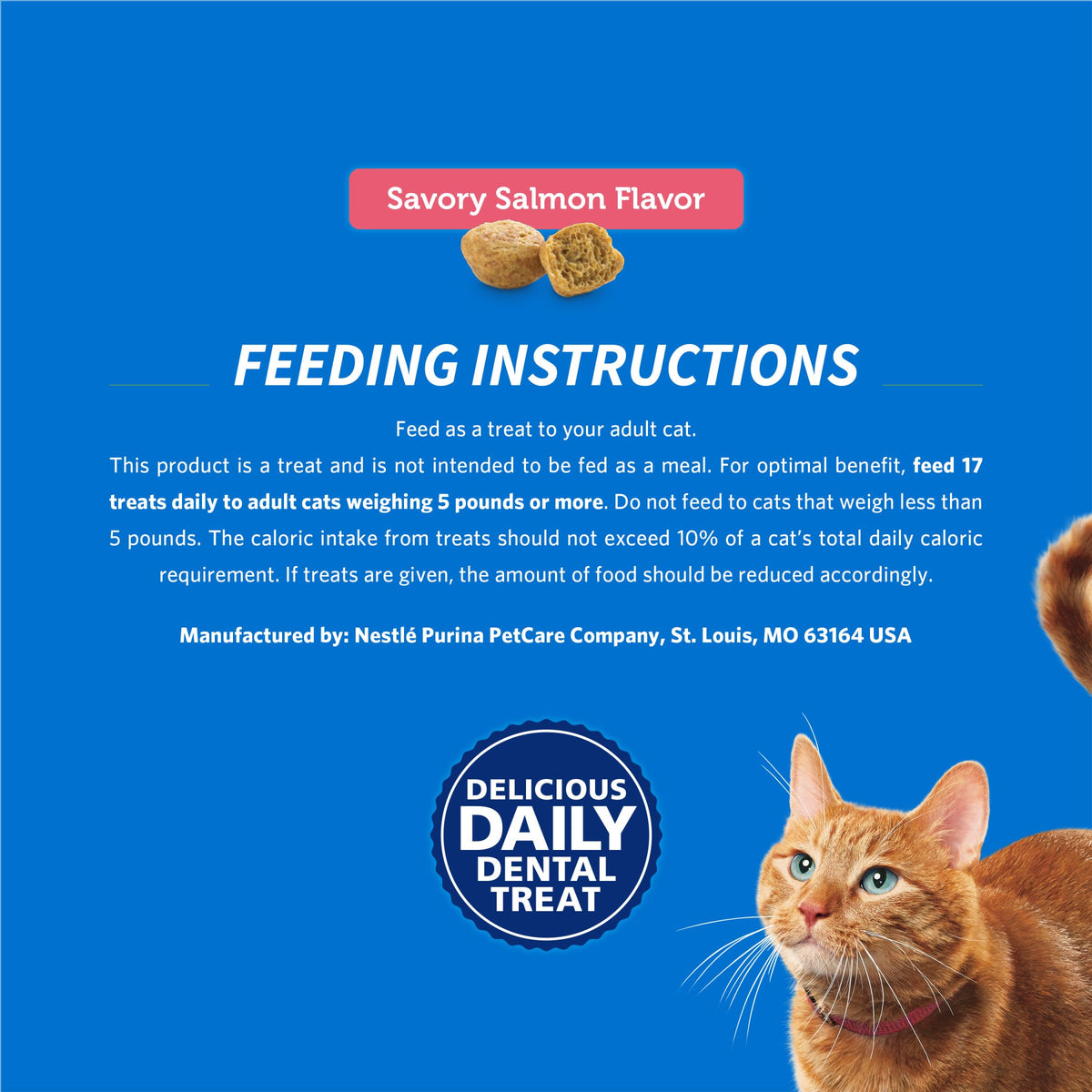 Salmon Flavor Cat Treats 19 oz Pouch Q282463