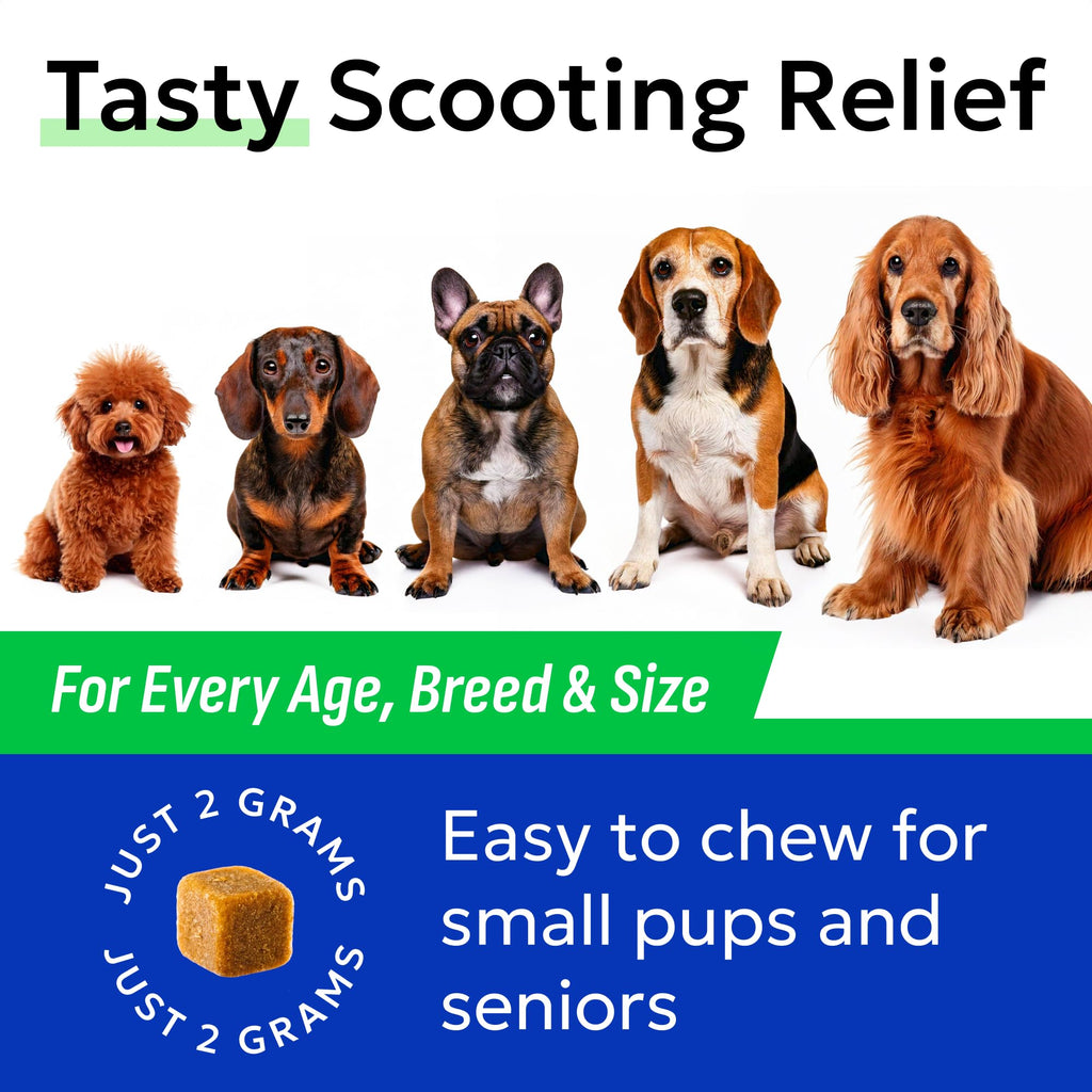 Omega 3 Fish Oil Dog Treats Bundle T9941