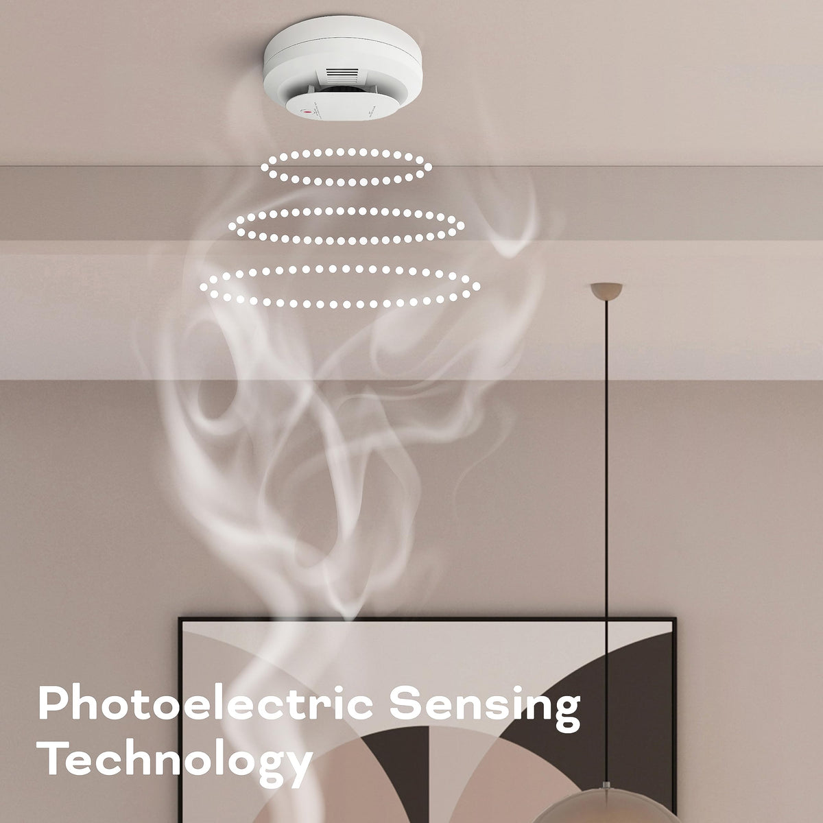 Hardwired Smoke & Carbon Monoxide Detector with Battery Backup, 2 Count Z698194