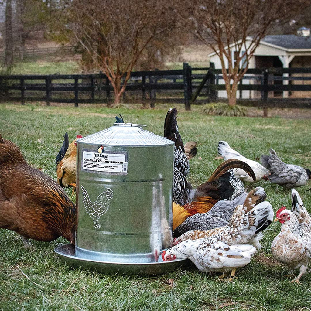 5 Gallons Double Wall Poultry Drinker M77311