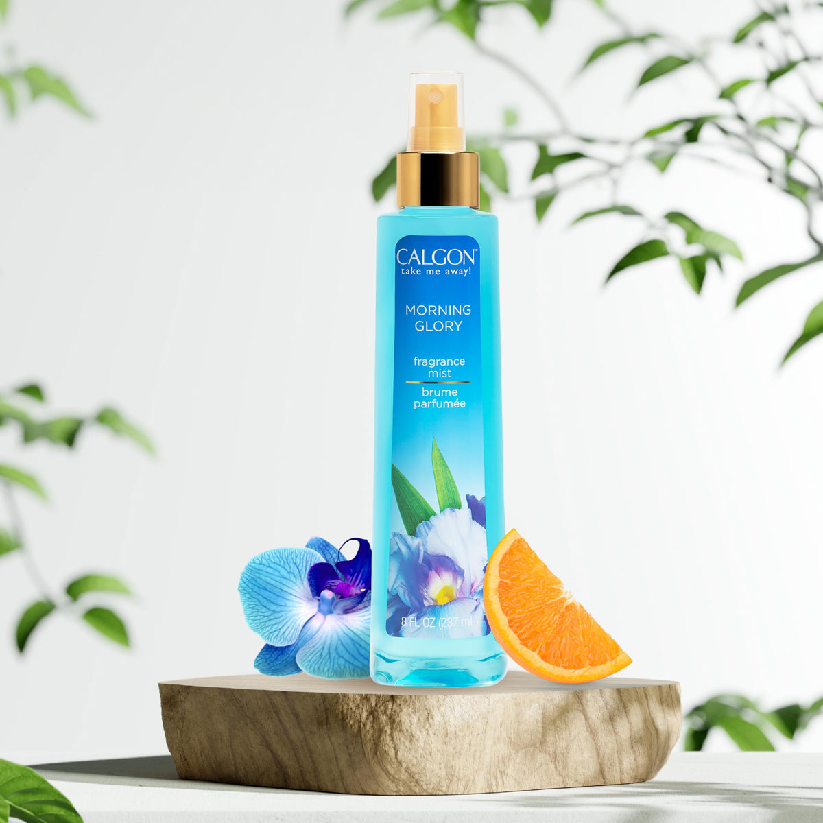 Morning Glory Body Mist 8 fl oz W50851