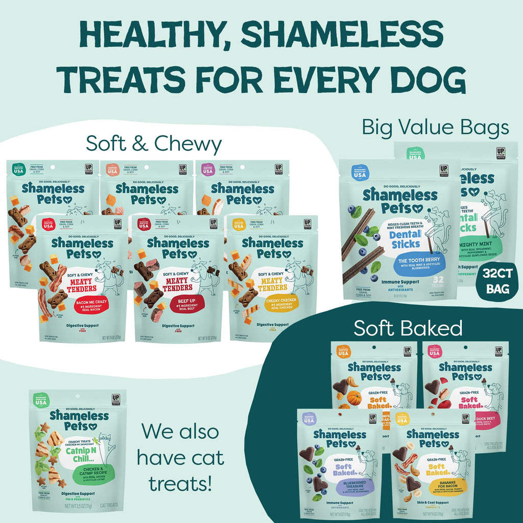 Mighty Mint Dental Chews for Dogs 18ct Q597