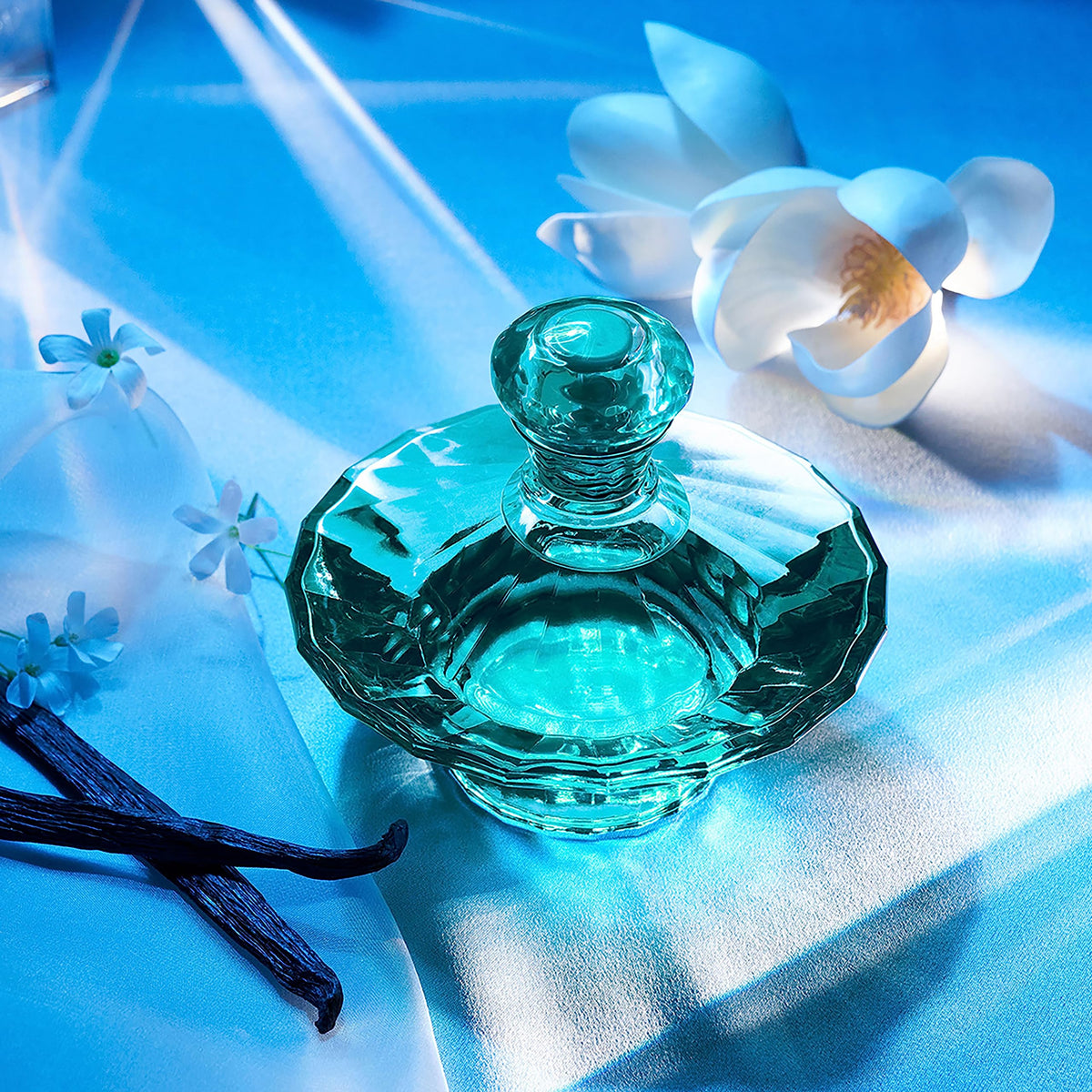 Eau De Parfum EDP Spray 3.3 Fl Oz I51877