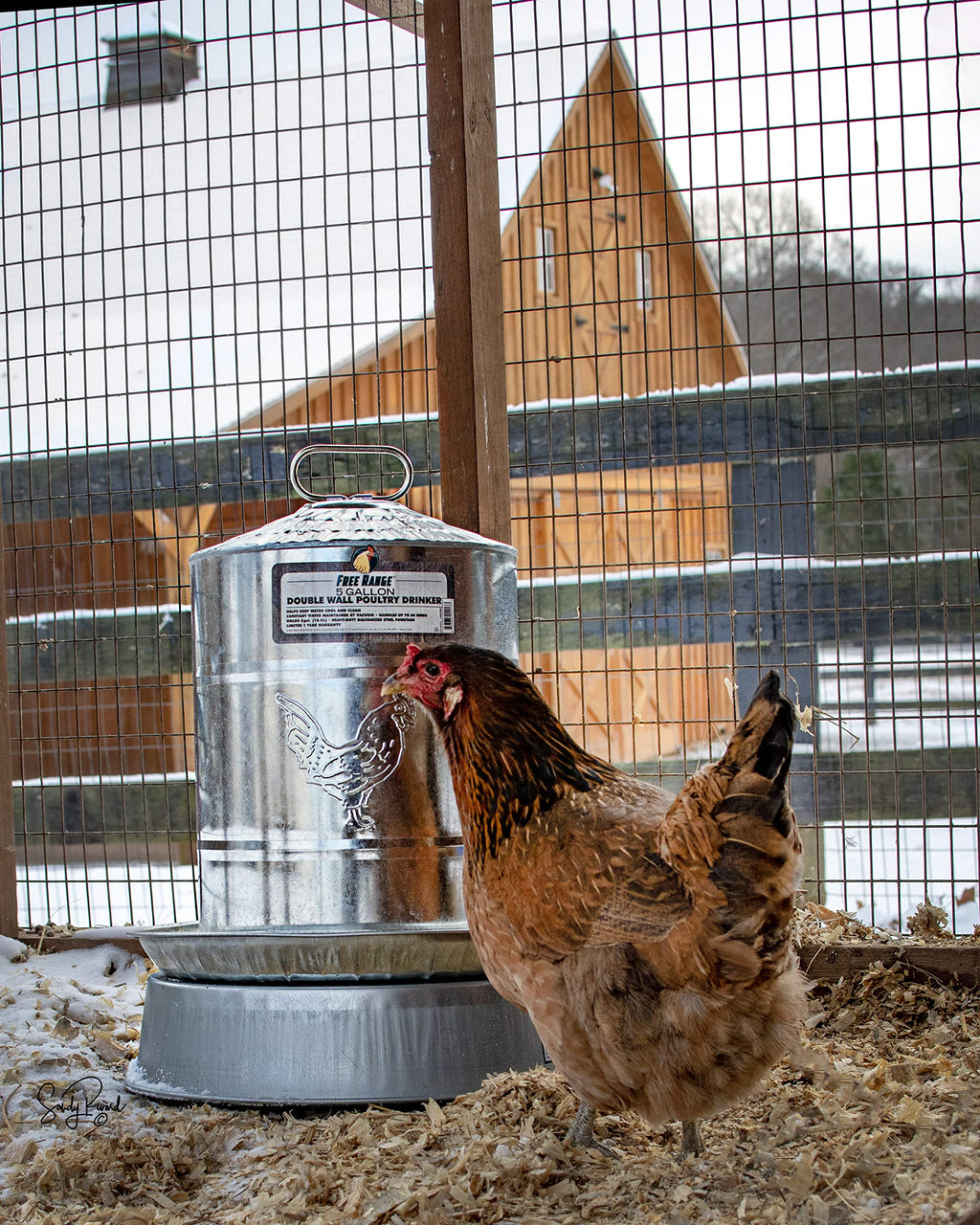 5 Gallons Double Wall Poultry Drinker M77311